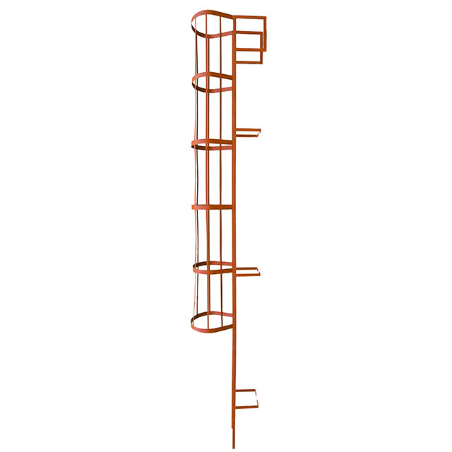 Caged Access Ladder